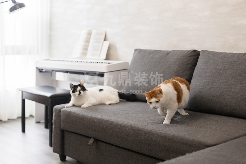 新房怎么装修 新房怎么装修